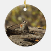 Chipmunk, faune, ornement (Dos)