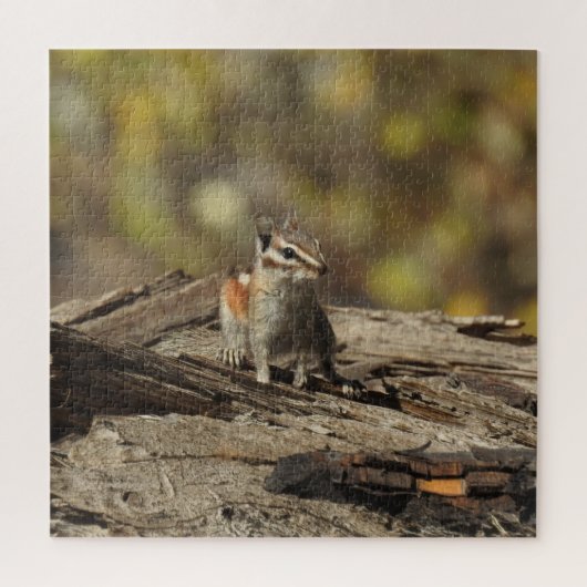 Chipmunk, faune, puzzle (Vertical)