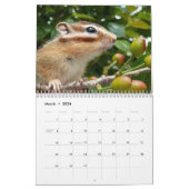 Chipmunk foto (3) kalender (Mar 2026)