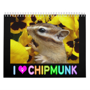 Chipmunk foto (3) kalender