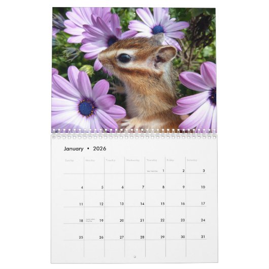 Chipmunk foto (3) kalender (Jan 2026)