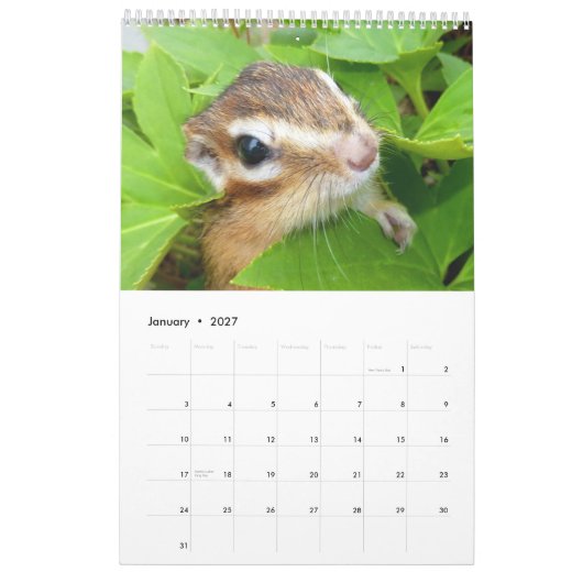 Chipmunk foto (4) kalender (Jan 2027)