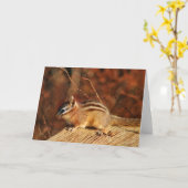 Chipmunk Gelegenheidskaart Kaart (Gele Bloem)