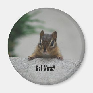 Chipmunk 'Got Nuts?' magneet