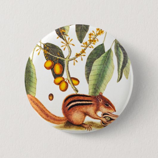  Chipmunk Illustratie Ronde Button 5,7 Cm (Voorkant)