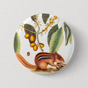 Chipmunk Illustratie Ronde Button 5,7 Cm