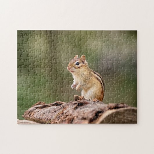 Chipmunk in de Adirondacks Legpuzzel (Horizontaal)