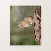 Chipmunk in de Adirondacks Legpuzzel (Verticaal)