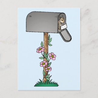 Chipmunk in een postbus briefkaart