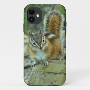 Chipmunk in Glacier National Park iPhone 11 Hoesje