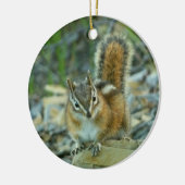 Chipmunk in Glacier National Park Keramisch Ornament (Links)