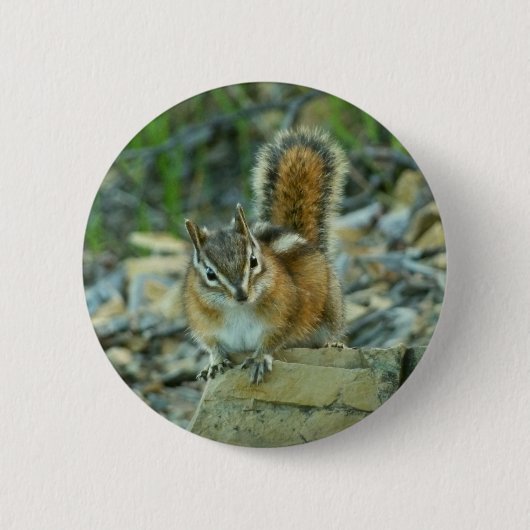 Chipmunk in Glacier National Park Ronde Button 5,7 Cm (Voorkant)