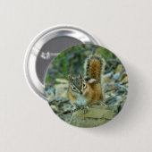 Chipmunk in Glacier National Park Ronde Button 5,7 Cm (Voorkant /achterkant)