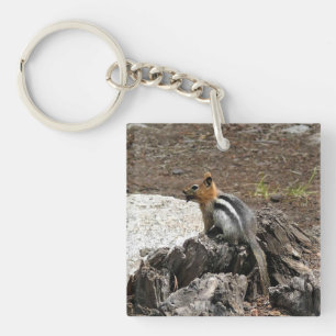 Chipmunk in Yosemite, Californië Sleutelhanger