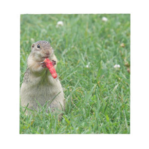 Chipmunk.JPG Notitieblok