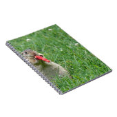 Chipmunk.JPG Notitieboek (Rechterzijde)