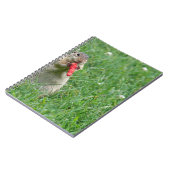 Chipmunk.JPG Notitieboek (Linkerzijde)