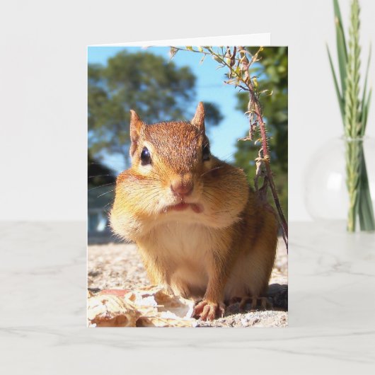 Chipmunk Kaart (Voorkant)