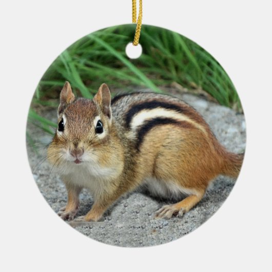 Chipmunk Keramisch Ornament (Voorkant)