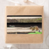 Chipmunk-klimtrap Etiket (Insitu)