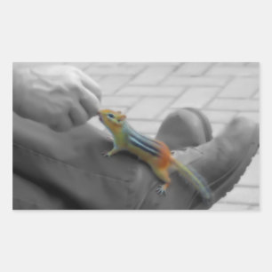 Chipmunk Lunch Rechthoekige Sticker