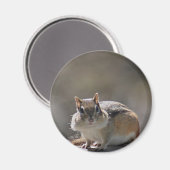 Chipmunk Magneet (Voorkant / Achterkant)