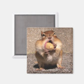 Chipmunk - Magneet (Voorkant / Achterkant)