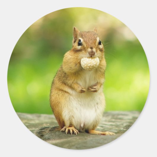 Chipmunk met traktatie ronde sticker (Voorkant)