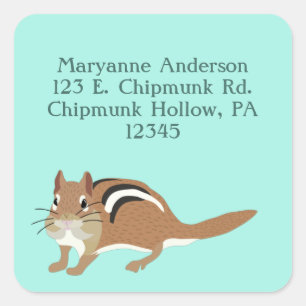 Chipmunk Mint Green Return-adreslabels Vierkante Sticker