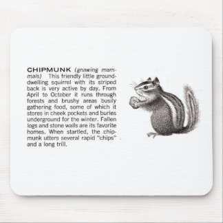 chipmunk muismat