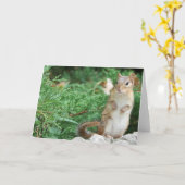 Chipmunk Notecard Kaart (Gele Bloem)