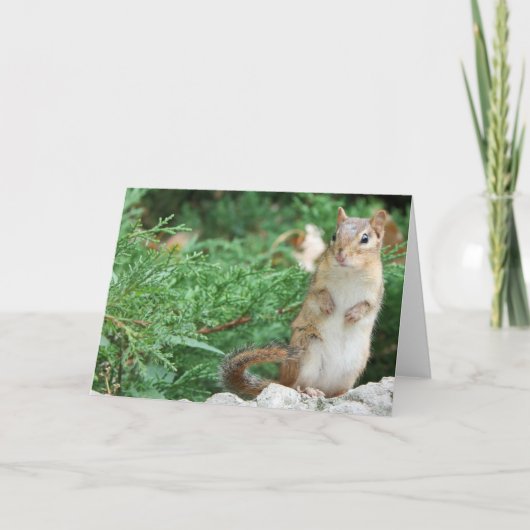 Chipmunk Notecard Kaart (Voorkant)