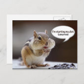 Chipmunk op Diet Foto Briefkaart (Voorkant / Achterkant)