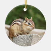 Chipmunk op een rots keramisch ornament (Voorkant)