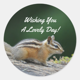 Chipmunk op log ronde sticker