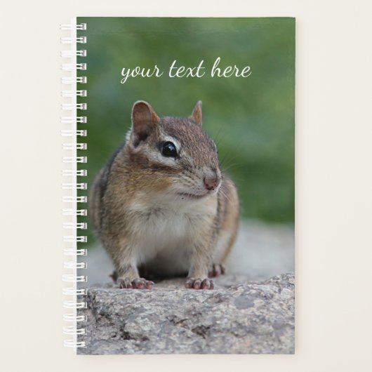 Chipmunk oriental (Devant)