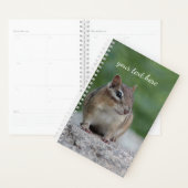 Chipmunk oriental (Devant avec enveloppe)