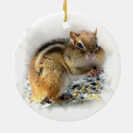 Chipmunk Ornament (Achterkant)