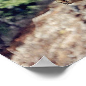 Chipmunk Poster (Hoek)