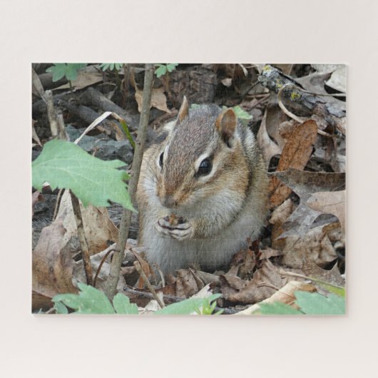 Chipmunk Puzzle Legpuzzel (Horizontaal)