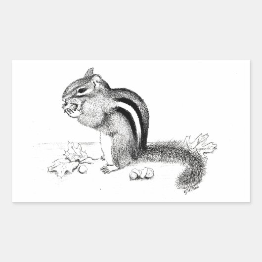 Chipmunk Rechthoekige Sticker (Voorkant)
