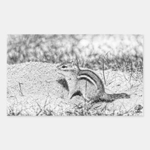 Chipmunk Sketch Rechthoekige Sticker