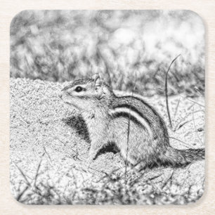 Chipmunk Sketch Vierkante Kartonnen Onderzetter