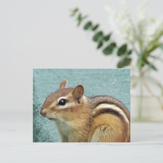 Chipmunk Sluiten Briefkaart (Staand voorkant)