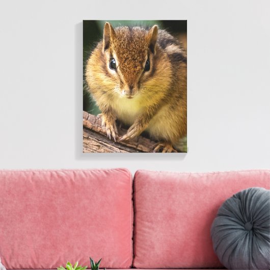 Chipmunk Stare Canvas Afdruk (Insitu (Woonkamer))