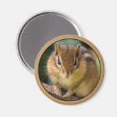 Chipmunk Stare Magneet (Voorkant / Achterkant)