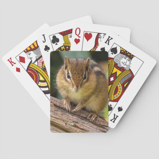 Chipmunk Stare Pokerkaarten (Achterkant)