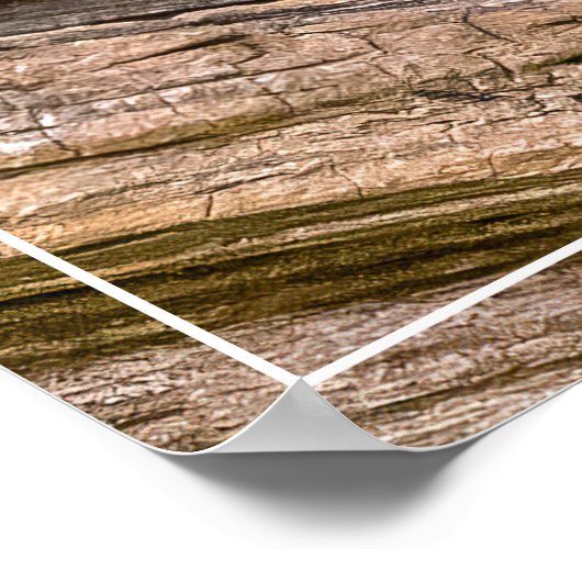 Chipmunk Stare Poster (Hoek)