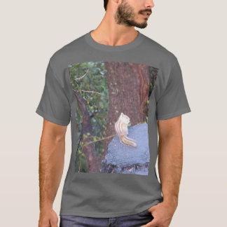 Chipmunk Sur Un T-Shirt De Trump D'Arbre