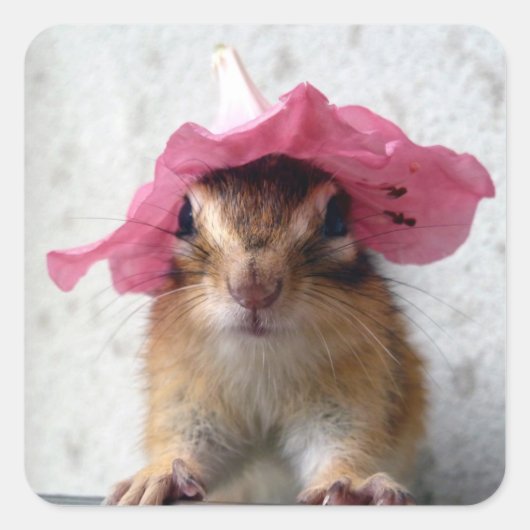 Chipmunk wears flower hat vierkante sticker (Voorkant)